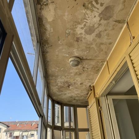Muffa Soffitto 5
